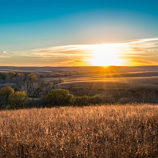 Kansas field at sunset